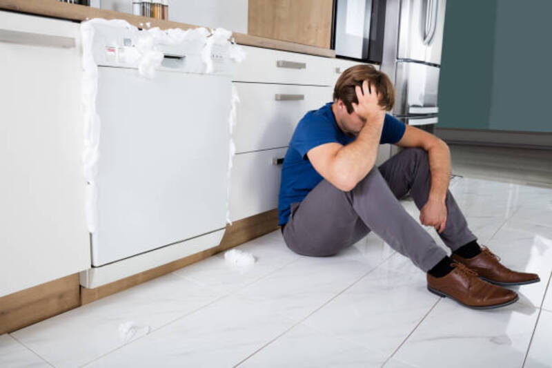 مشکلات ماشین ظرفشویی بوش و نحوه رفع آنها 13 مشکلات ماشین ظرفشویی بوش و نحوه رفع آنها انتخاب برنامه اشتباه